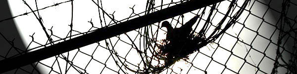 WOMEN'S PRISON NETWORK