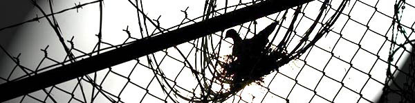 WOMEN'S PRISON NETWORK